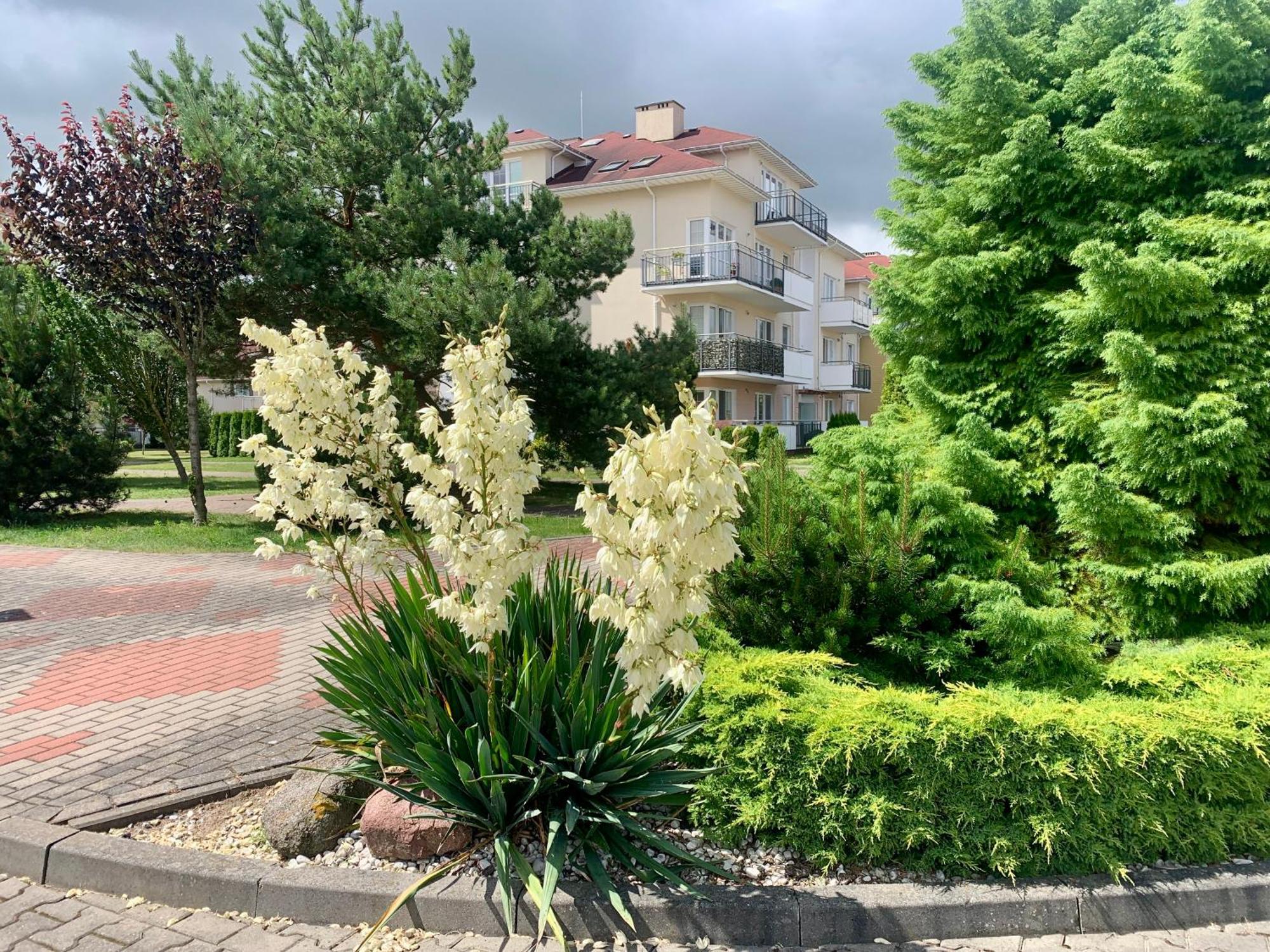 Baltic Apartament Studio Z Ogrodkiem Grzybowo Kolobrzeg Esterno foto